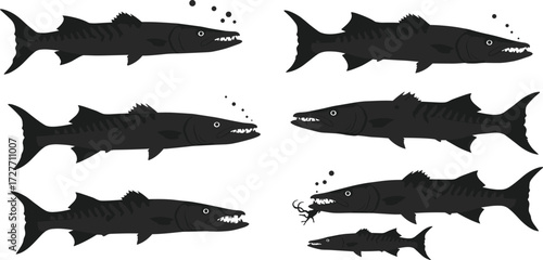 Barracuda transformation, cartoon fish evolution, mutation sequence, aquatic creature change, stylized sketch, fantasy anatomy, animation concept