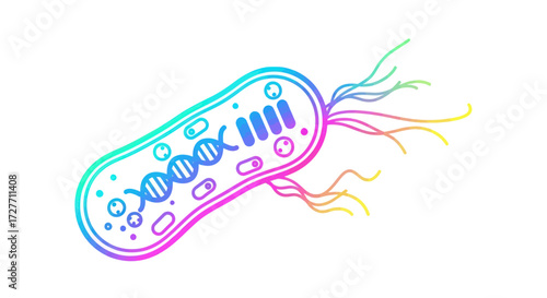Colorful Outline of a Bacterium with Flagella and Genetic Material.