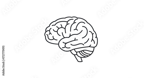 Simple Black and White Outline Illustration of Human Brain.