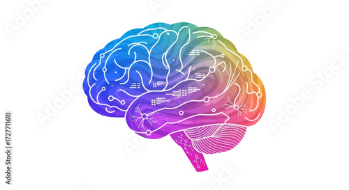 Colorful Human Brain Illustration with Neural Network Overlay.