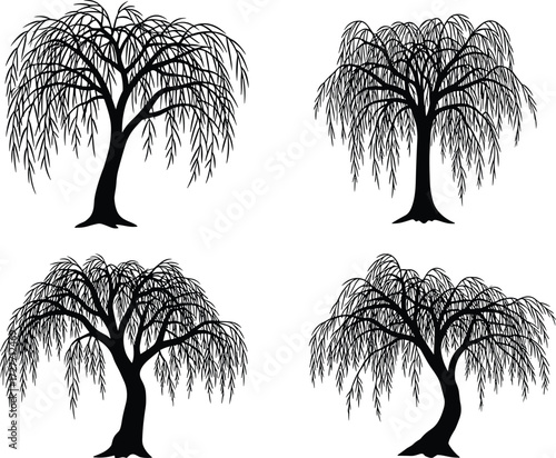 Black willow tree silhouettes, drooping branches, curved trunks, botanical illustration, nature design, forest elements, landscape art, decorative foliage, vector style