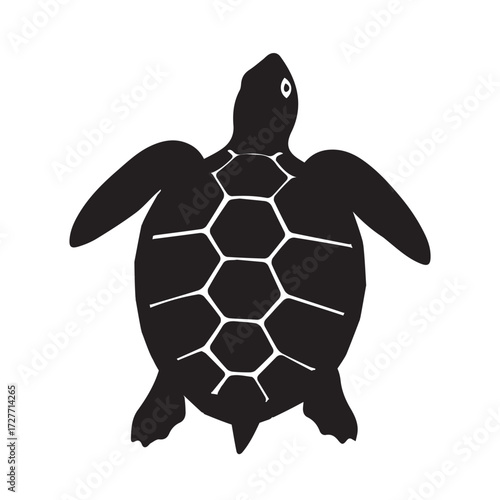 Turtle Silhouette Vector Sea Animal Icon