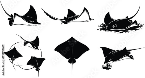 Manta ray silhouette, aquatic motion, black illustration, marine anatomy, ocean sketch, nature pose, underwater elegance