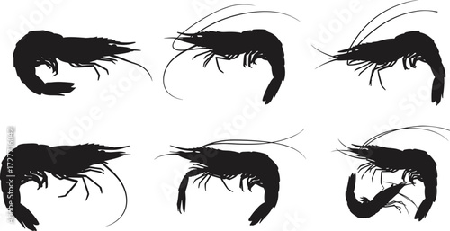 Shrimp silhouette, blue antennae, aquatic anatomy, black illustration, marine sketch, nature pose, crustacean concept