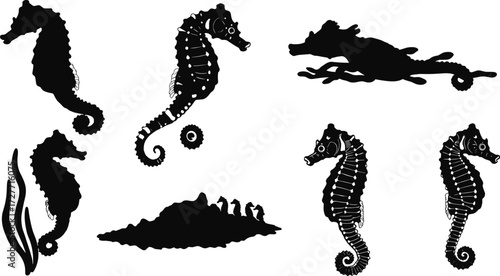 Seahorse silhouette, marine anatomy, underwater sketch, coral reef elements, black illustration, aquatic concept, nature pose