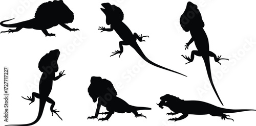 Silhouette Set of Frilled Neck Lizards in Various Poses, Reptile Vector Collection for Wildlife Design