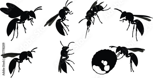 Wasp silhouette, insect anatomy, black vector art, flying wasp, nest behavior, nature sketch, entomology reference