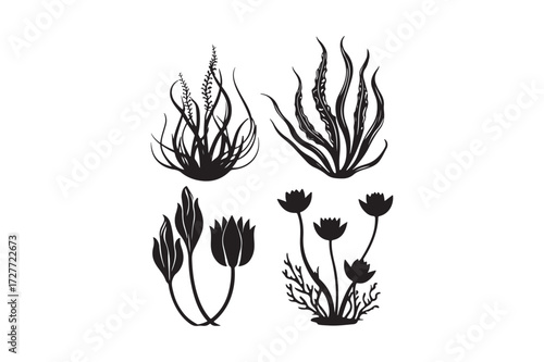 Black and white stylized illustrations of various botanical elements