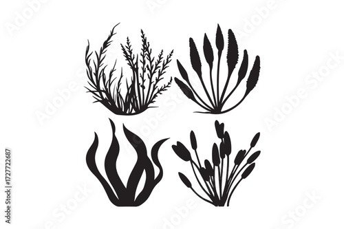 Four stylized black and white silhouettes of aquatic plants