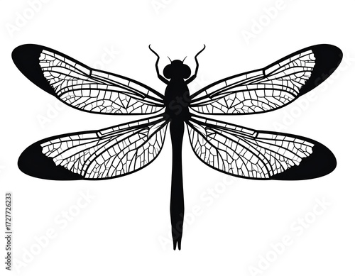 Black and white dragonfly silhouette