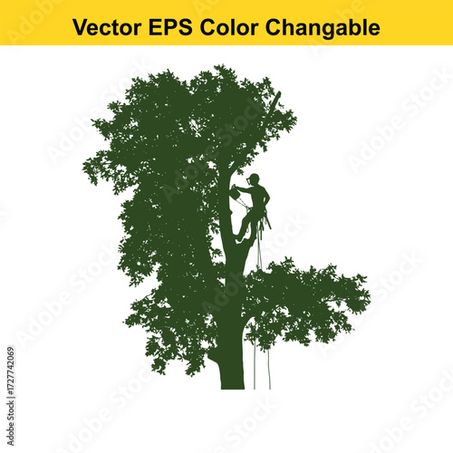 Vector art of silhouette of a tree climber working on a large tree