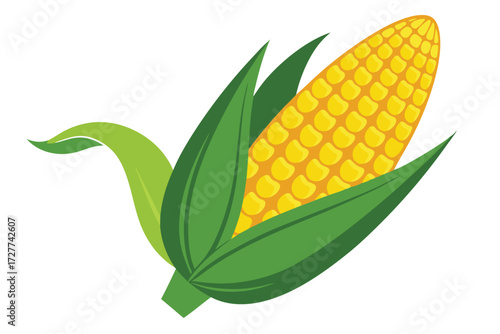 Ripe yellow corn with fresh green husk creates a delightful, vibrant composition