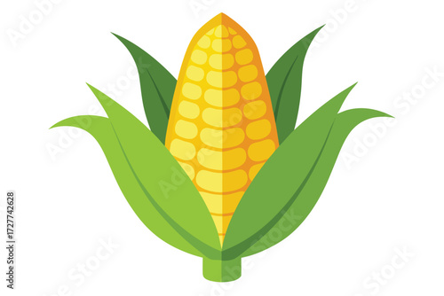 Fresh yellow corn cob with green leaves isolated on white represents healthy harvest