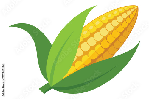 Fresh yellow corn cob is surrounded by green leaves on a white background