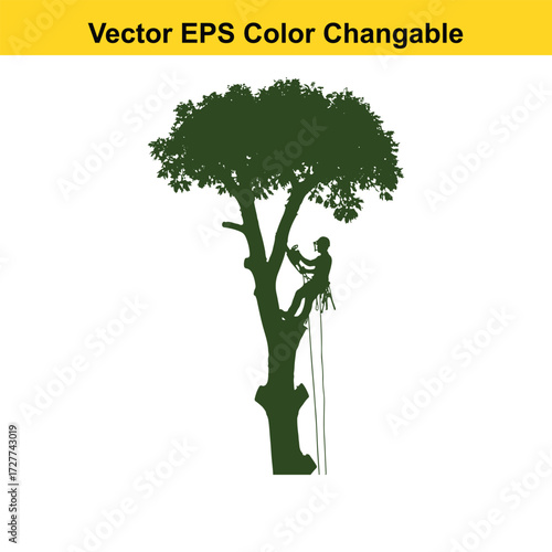 Vector art of silhouette of a tree climber pruning a tree