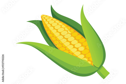 Ripe yellow corn cob is partially wrapped in vibrant green leaves against white