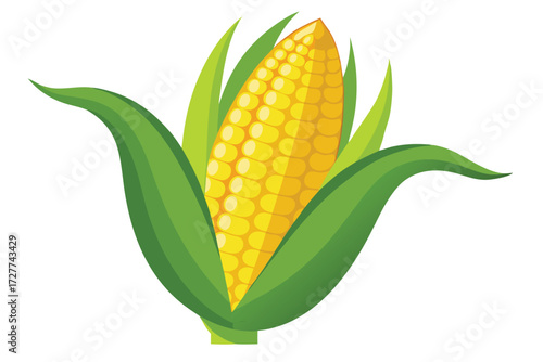 Fresh yellow corn cob with vibrant green leaves displayed on a white background