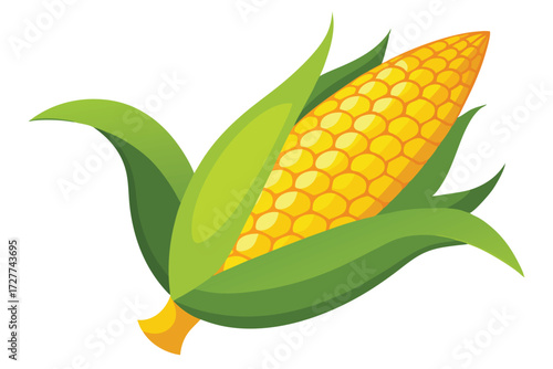 Ripe maize cob shows plump kernels with leafy bracts providing a natural husk