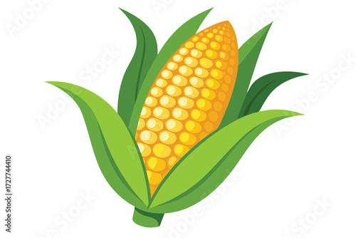 Ripe maize kernels are surrounded by vibrant green husks with a white background