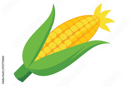 Ripe yellow corn on the cob is shown inside vibrant green leaves