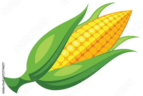 Ripe yellow corn is enclosed by vibrant green husk leaves in the image