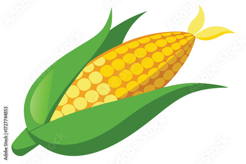 Fresh yellow corn cob is wrapped by green leaves against a plain backdrop