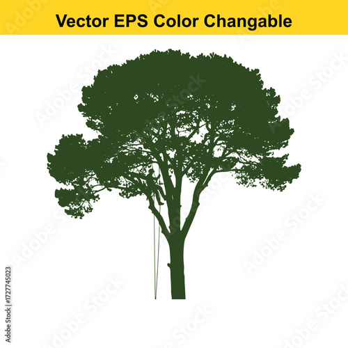 Vector art of silhouette of a large pine tree