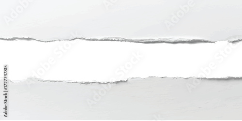 Torn or ripped paper edge and texture on a blank sheet, creating a grunge frame for your design or vintage note, with empty space for text or illustration