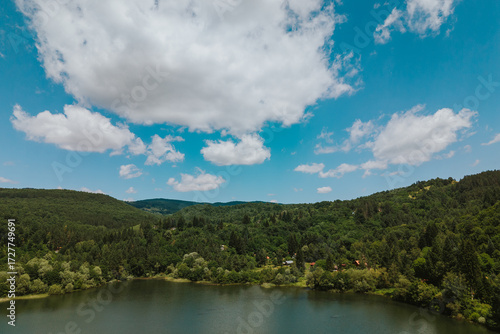 lake in the forest