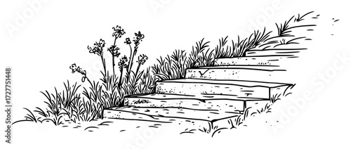 garden stone stairs with grass and flowers