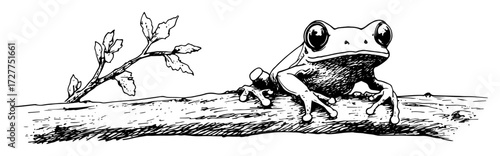 frog sitting on branch illustration