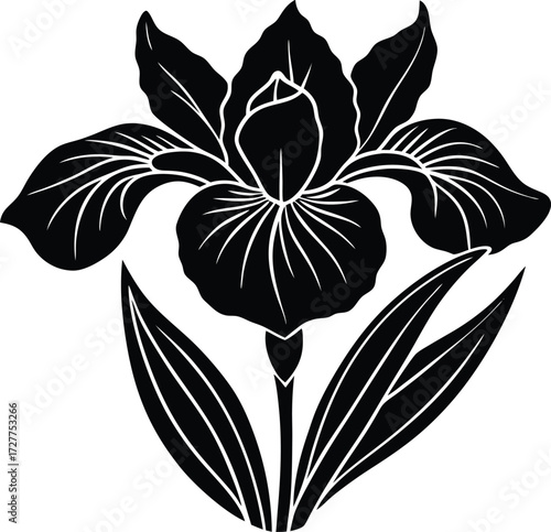 Iris Flower Silhouette | Elegant Garden Bloom Vector Design