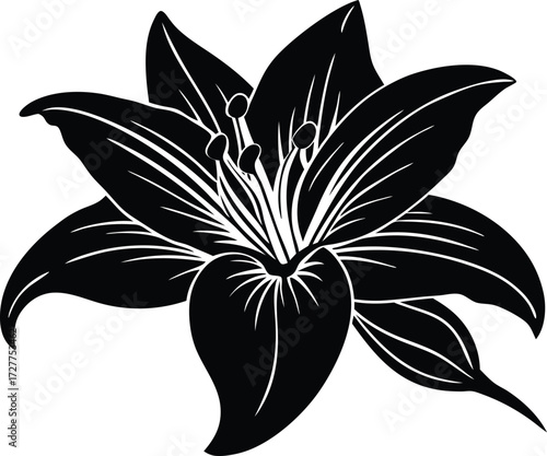 Lily Silhouette | Elegant Floral Vector Illustration