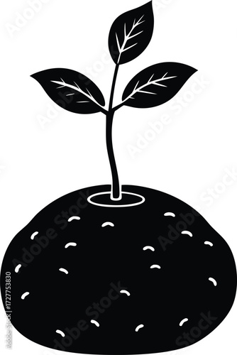 Potato Sprout Silhouette | Root Vegetable Vector Design