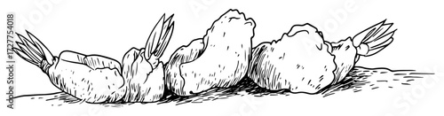 breaded fried shrimp hand drawn vector