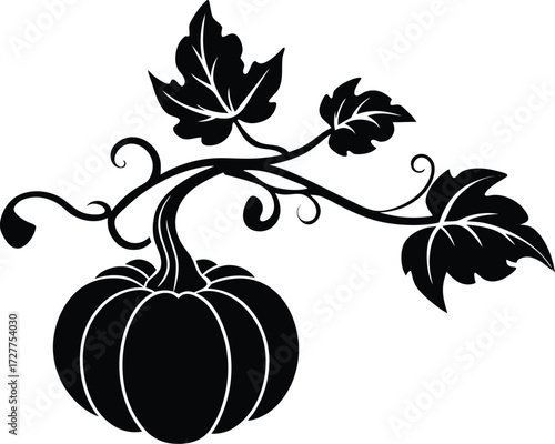 Pumpkin Vine Silhouette | Harvest Vegetable Vector Illustration