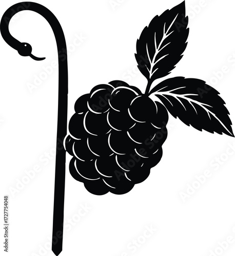 Raspberry Cane Silhouette | Fruit Bush Vector Illustration