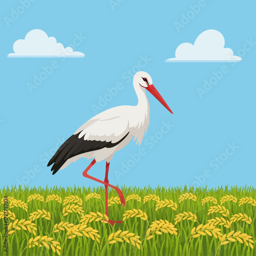 Stork in a Field A Peaceful Scene