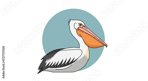 Cartoon Pelican Illustration Vector Art