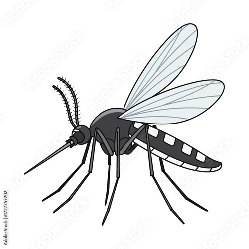 Mosquito insect graphic illustration