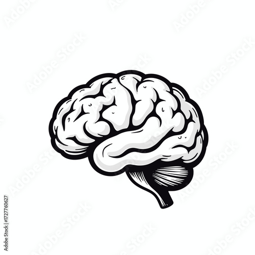 Isolated human brain on white background emphasizing intelligence. Human brain is a symbol of cognition, idea generation, and thought processes. This human brain visual is great for education,