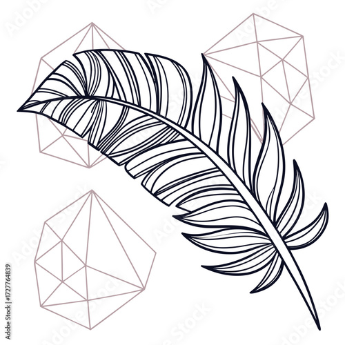 A delicate black outline of a single feather is positioned diagonally against a white background accompanied by two minimalist geometric wireframe shapes in a soft rose gold hue