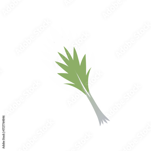 cartoon silver fennel frond feathery  herby vector