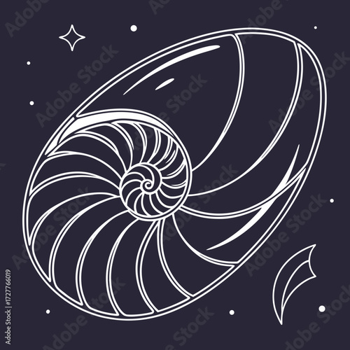 Elegant white line art illustration of a nautilus shell spiral and chambers against a dark navy blue background with subtle celestial dots and a star shape