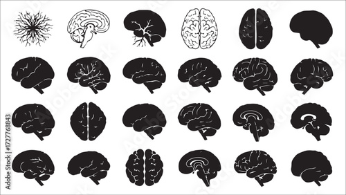 set of brain