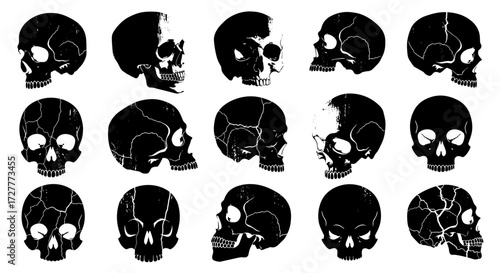 Skull Silhouettes: A Monochrome Memento