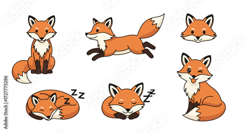  Foxy Nap Time