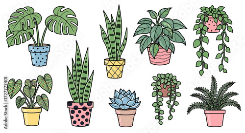 Collection of assorted potted houseplants with lush green foliage in decorative pots isolated on transparent background
