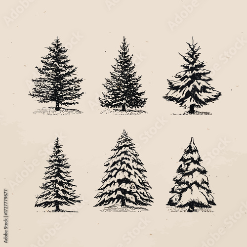 Six sketched Christmas trees in varying shapes and densities on a tan background
