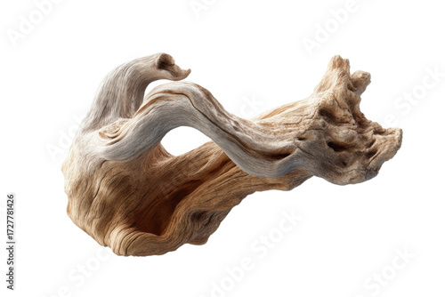 Intricate natural driftwood sculpture on black background, cut out